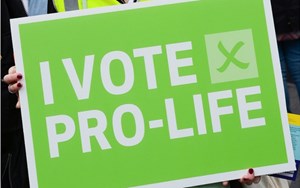La. legislator's abortion bill dies in GOP-led committee